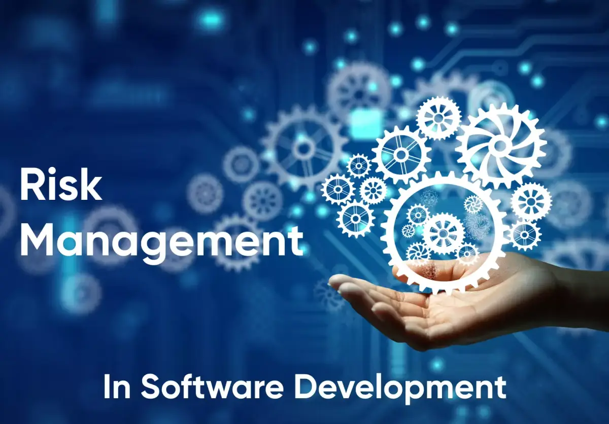 Risk Management in Software Development