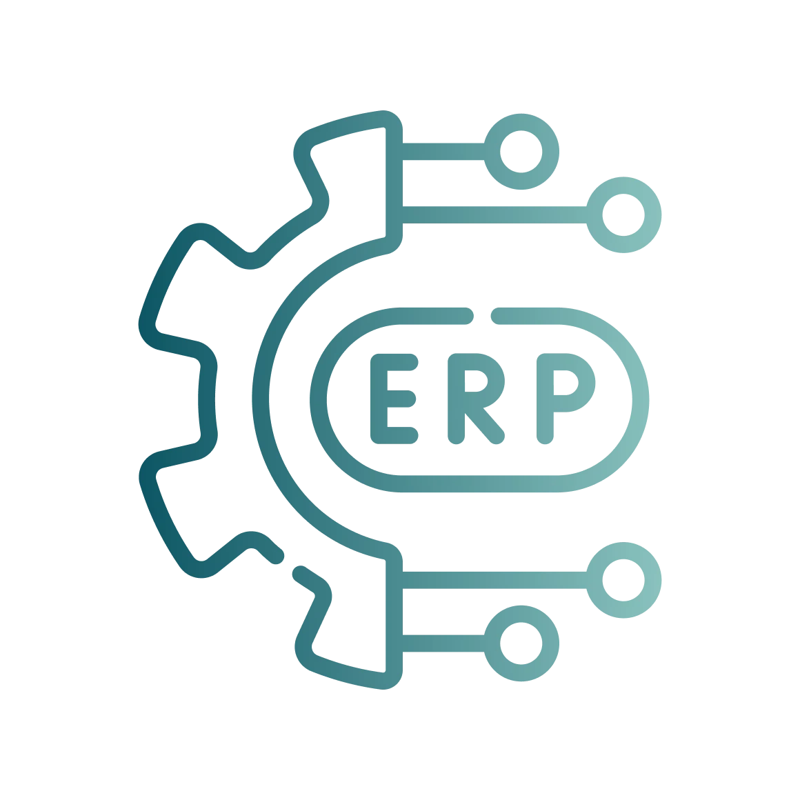 Custom ERP software illustration