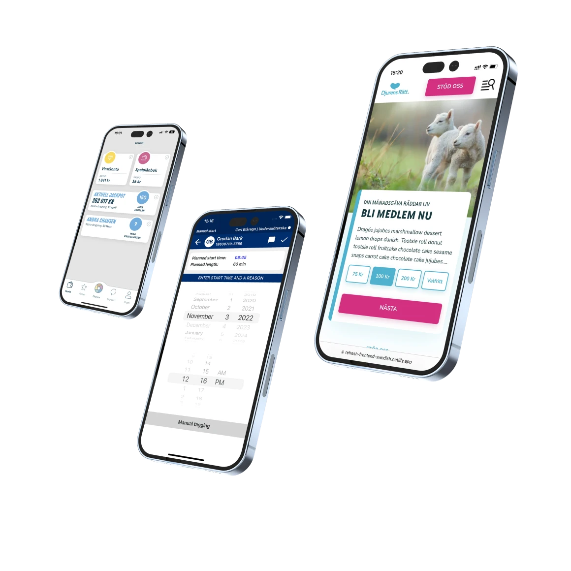 Mobile app development illustration