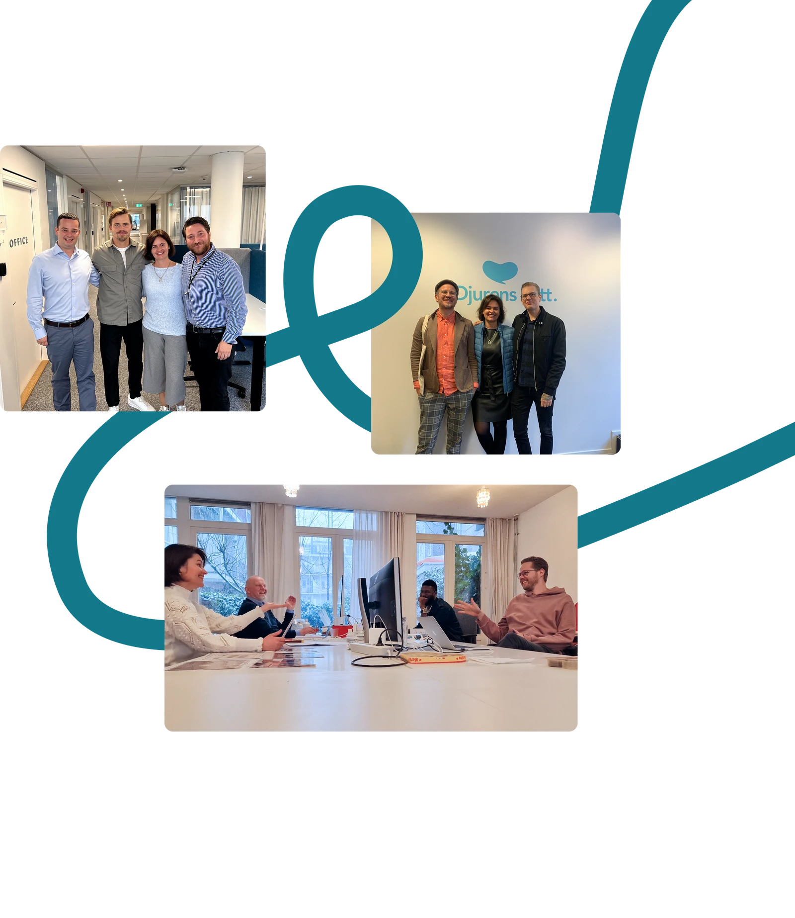 Partnership with Go Wombat