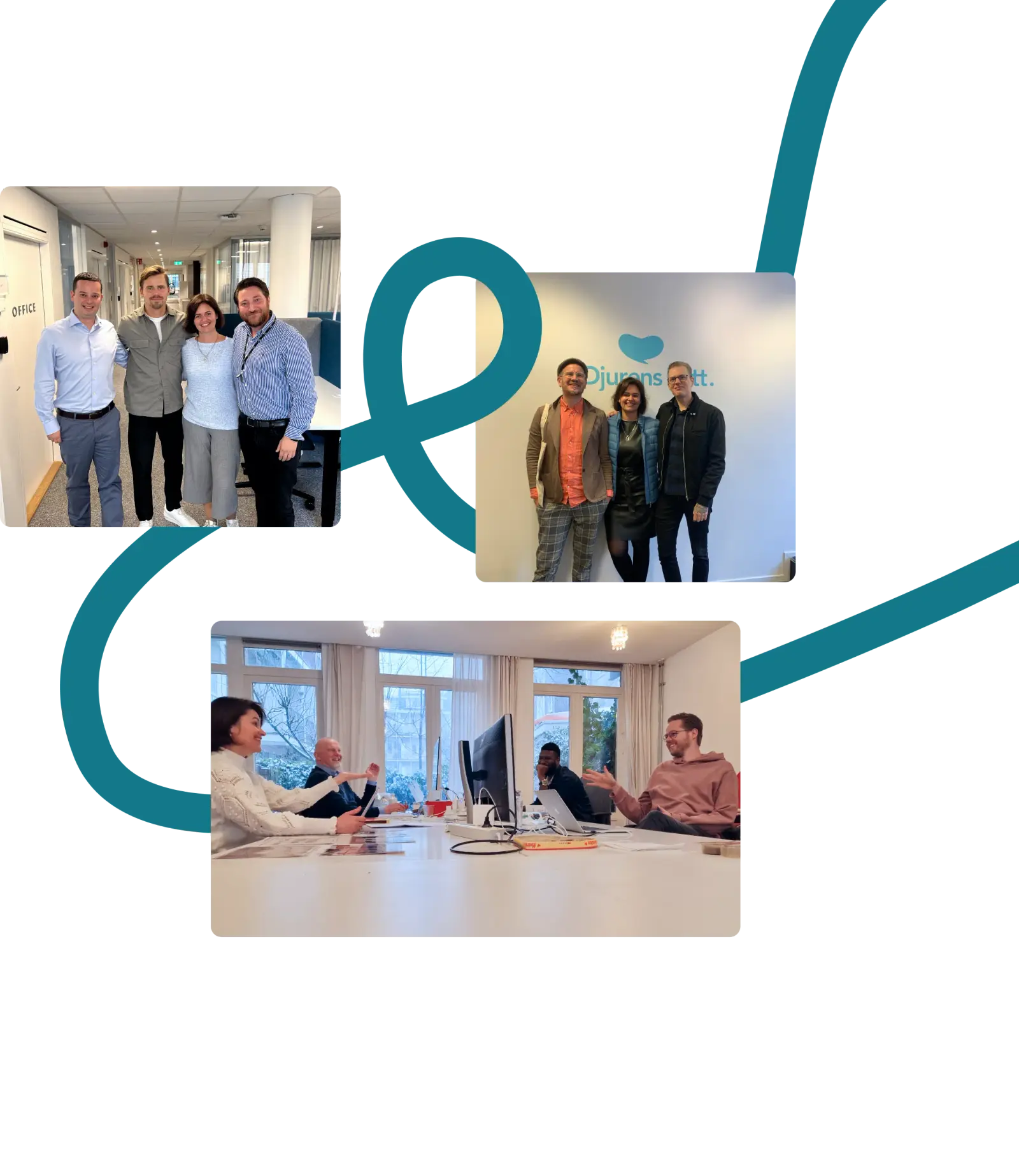 Partnership with Go Wombat