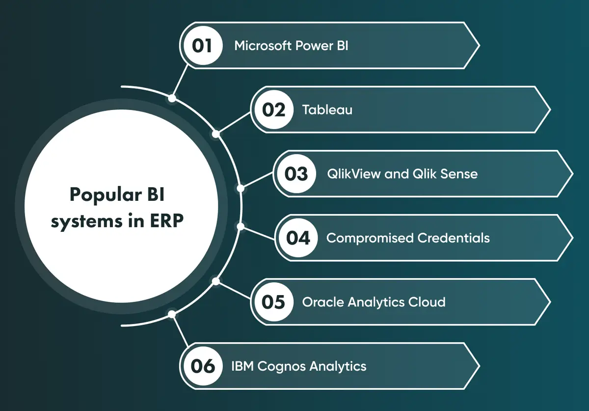 The leading BI systems for ERP