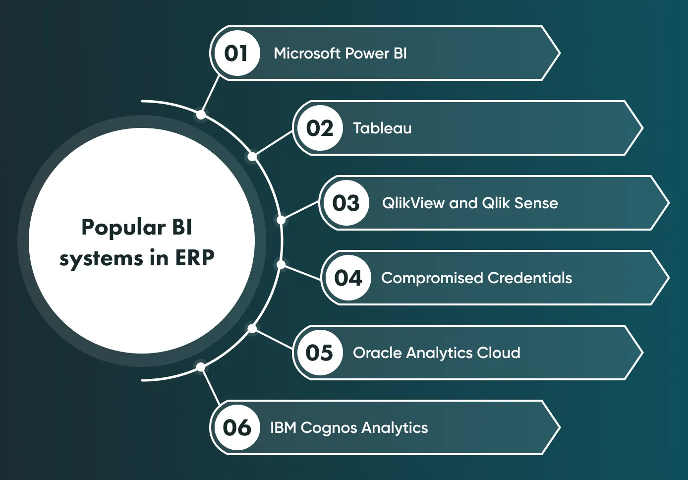 The leading BI systems for ERP