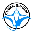 Web Application Security certification logo