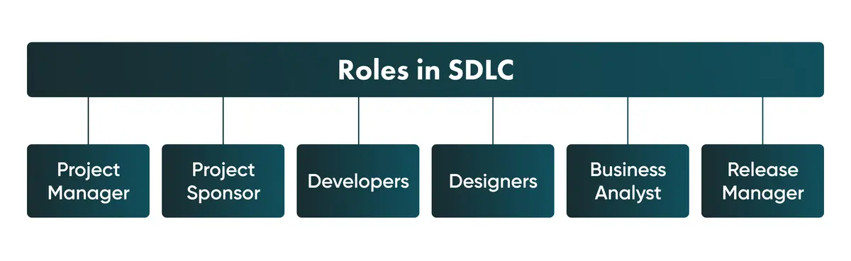 Who takes part in SDLC process?
