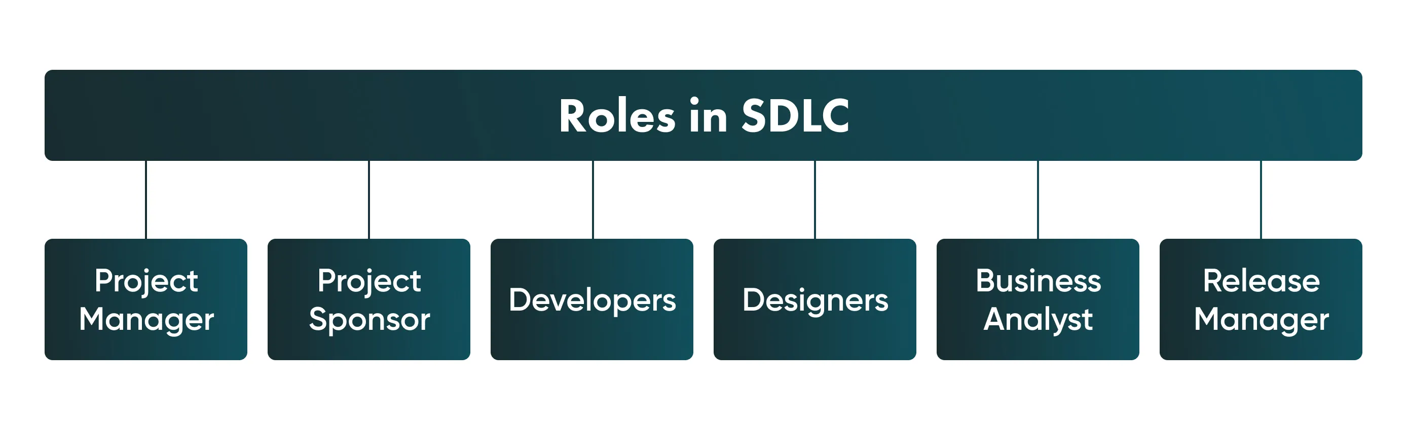 Who takes part in SDLC process?